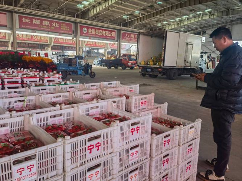 宿迁企业采购：打造高效供应链的新路径
